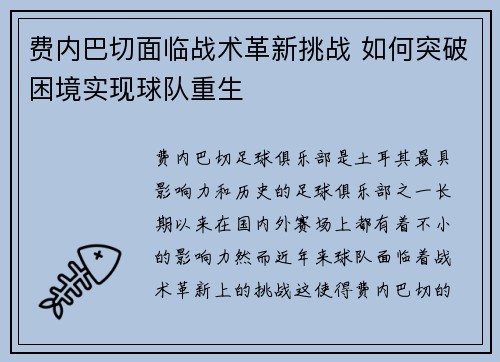 费内巴切面临战术革新挑战 如何突破困境实现球队重生