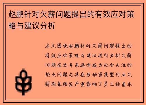 赵鹏针对欠薪问题提出的有效应对策略与建议分析