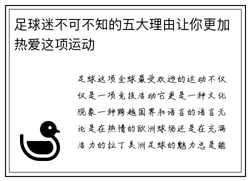 足球迷不可不知的五大理由让你更加热爱这项运动